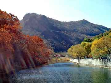 正版澳门天天开彩大全，氟橡胶骨架油封